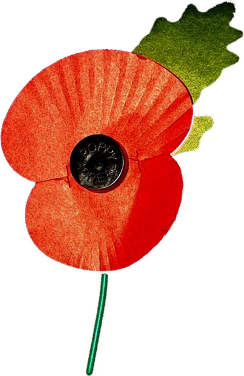poppy1